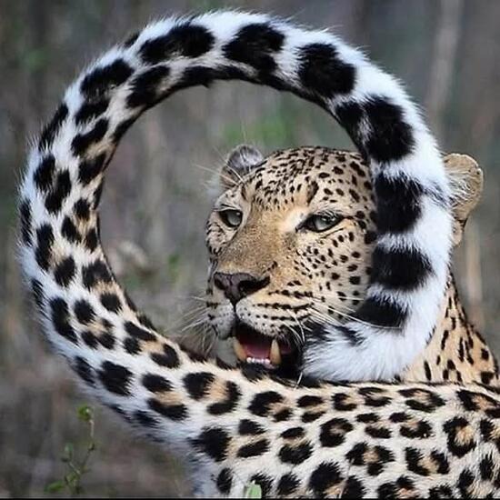 registerd user picture 3