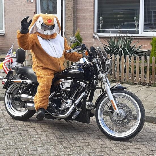 registerd user picture 1