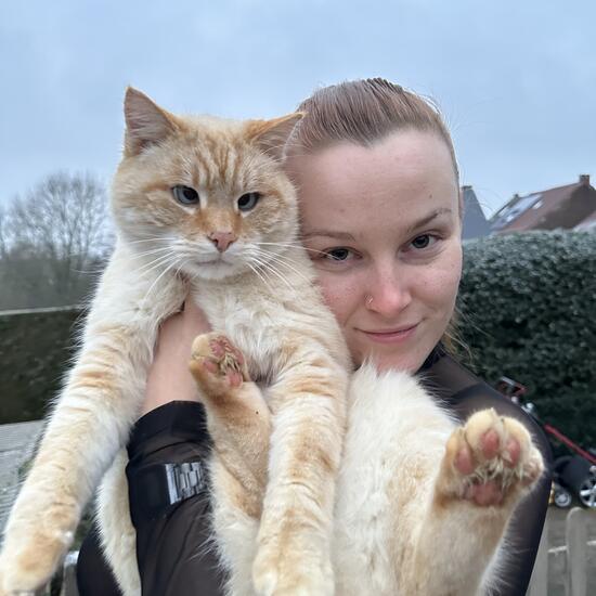 registerd user picture 3