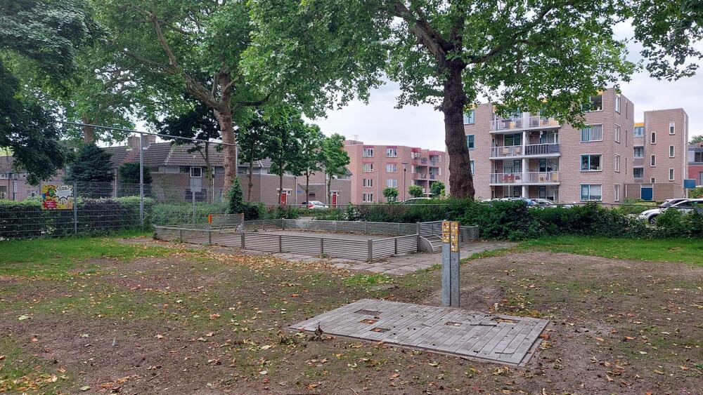 survey image
