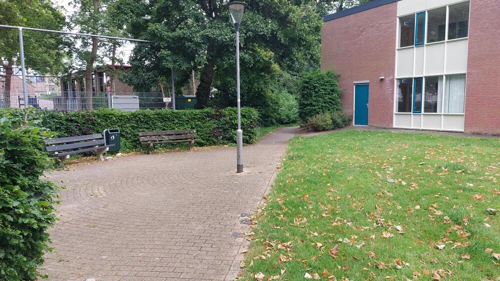 survey image