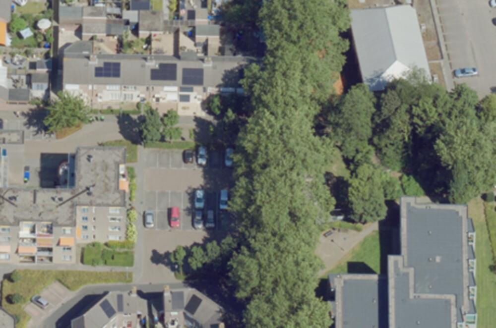 survey image