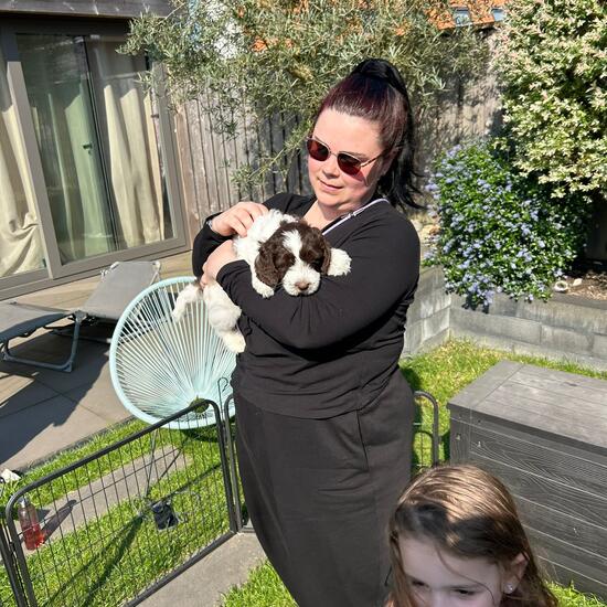 registerd user picture 3