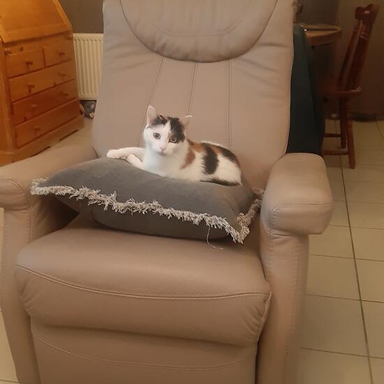 registerd user picture 2