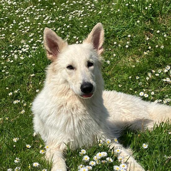 registerd user picture 3