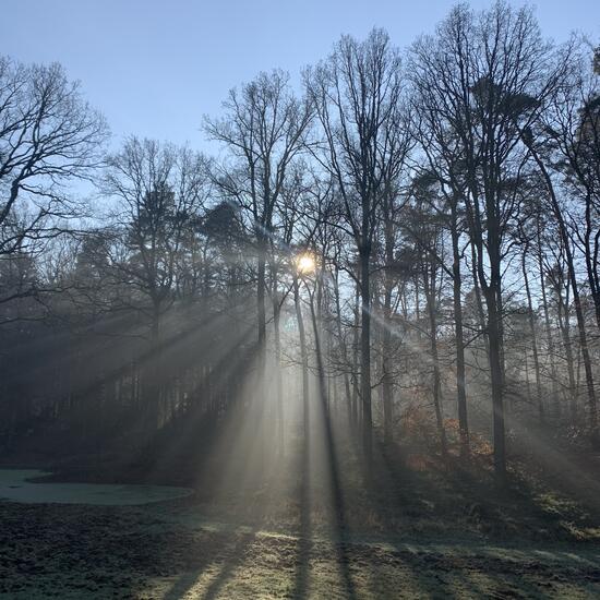 registerd user picture 2