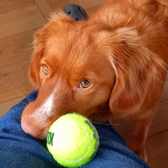 registerd user picture 2