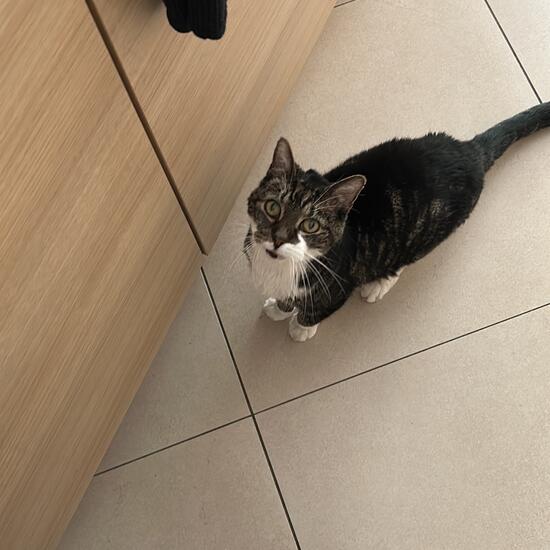 registerd user picture 3