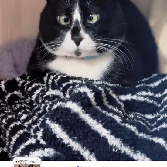 registerd user picture 3