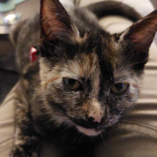 registerd user picture 1