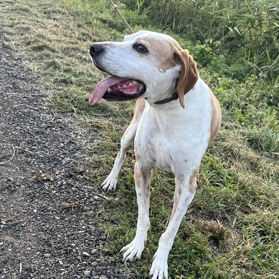 registerd user picture 2