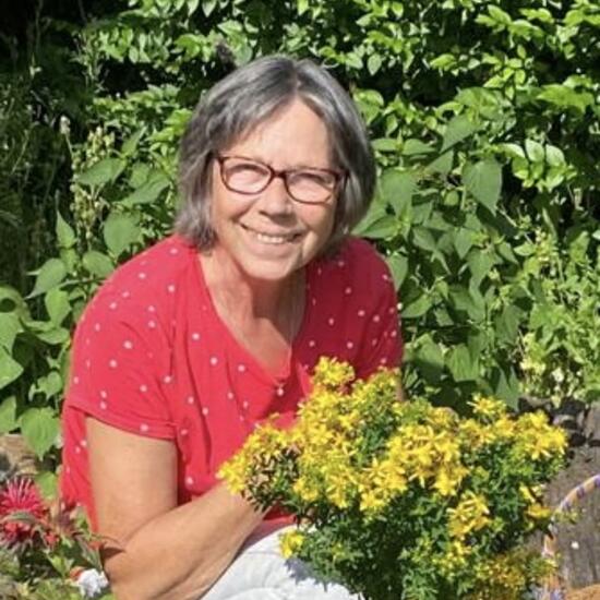 registerd user picture 1