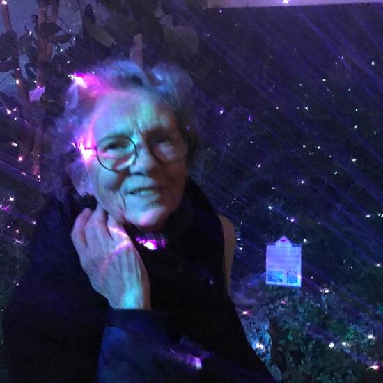 registerd user picture 2