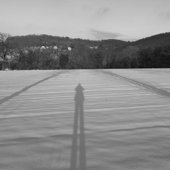 registerd user picture 3