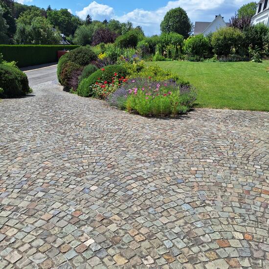 registerd user picture 1