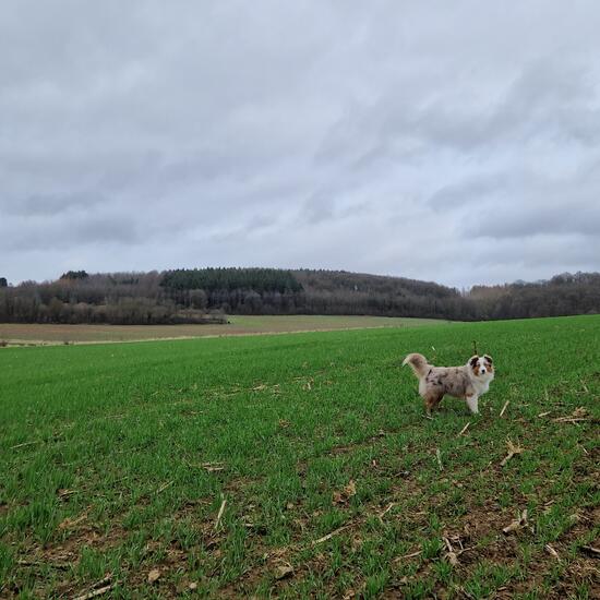 registerd user picture 1