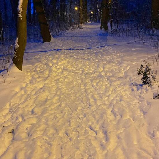 registerd user picture 2