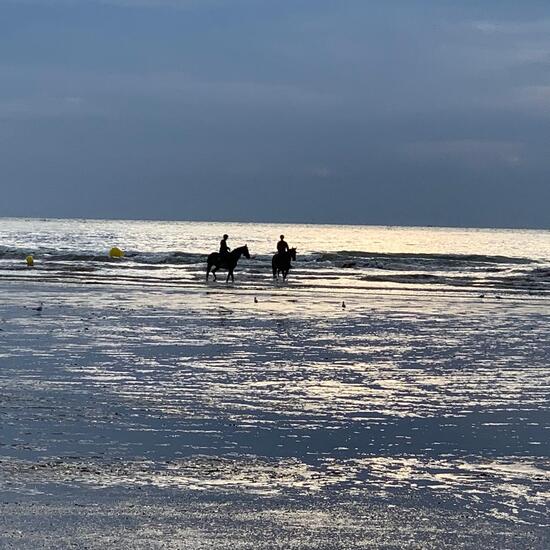 registerd user picture 3