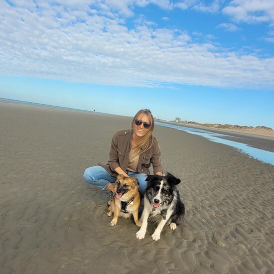 registerd user picture 3