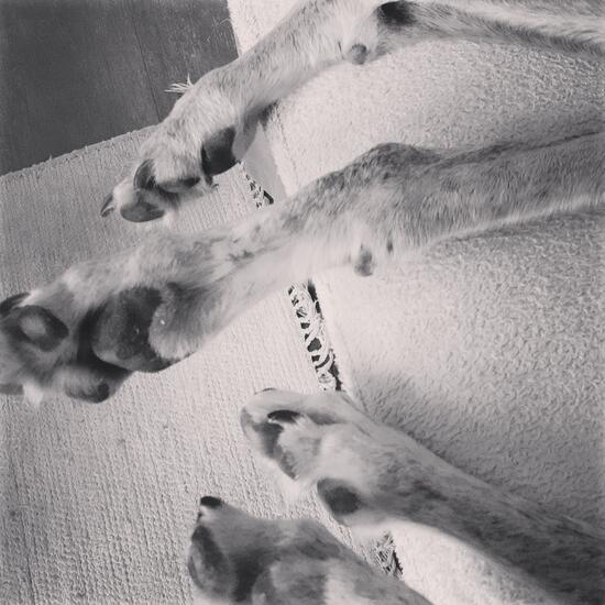 registerd user picture 3