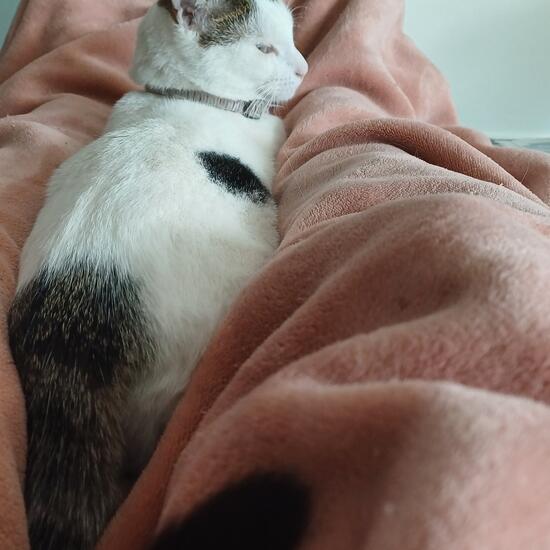 registerd user picture 3