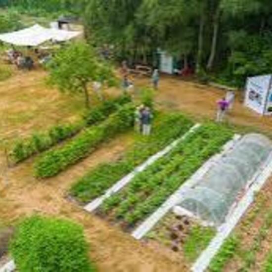 registerd user picture 2