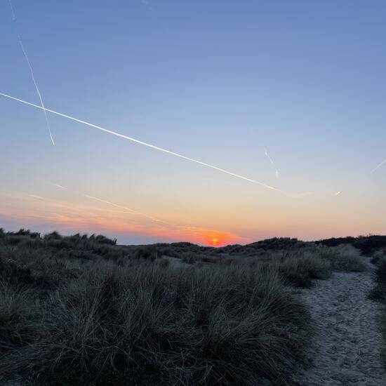 registerd user picture 2