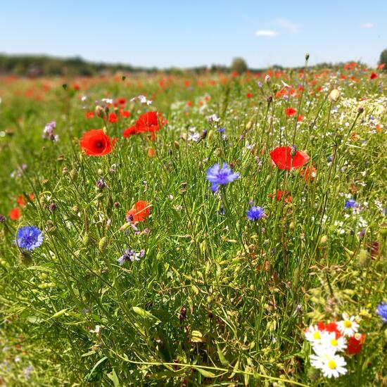 registerd user picture 3