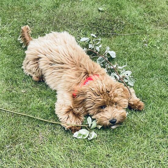 registerd user picture 2