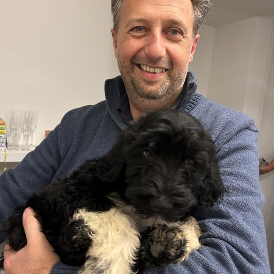 registerd user picture 2