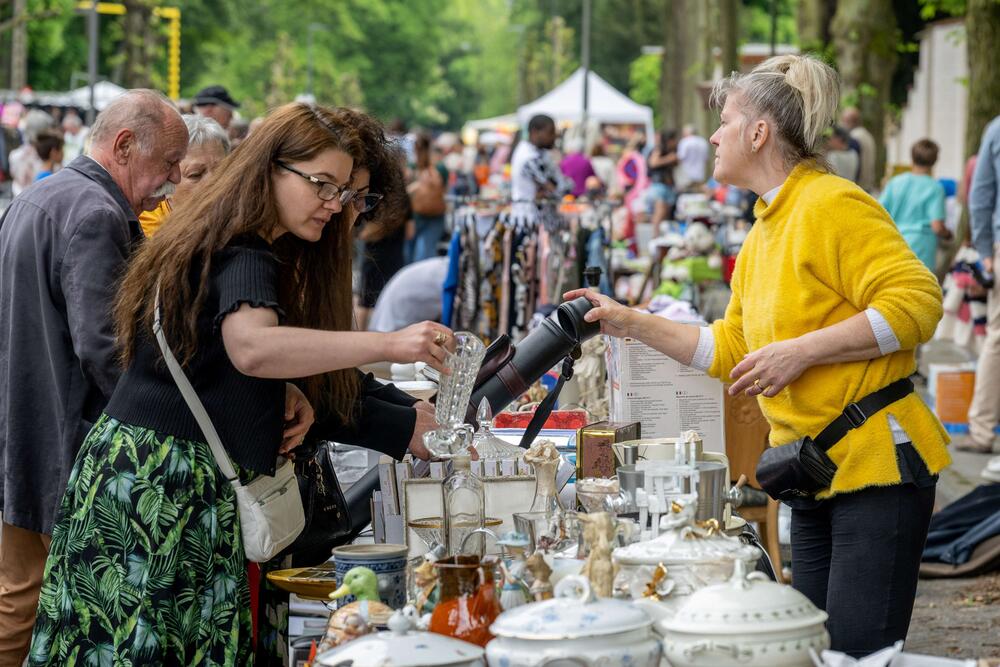 Hoe weet jij wat er te doen is in Meise? Geef je mening.