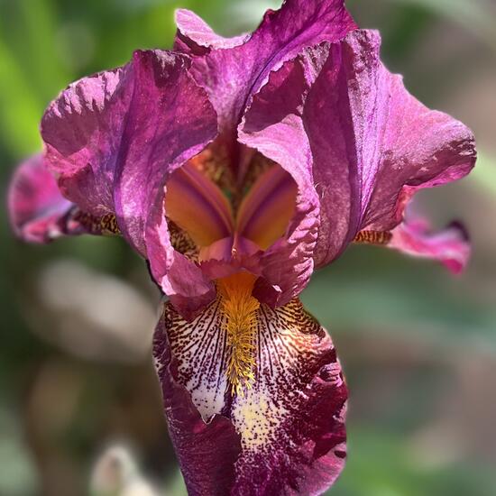 registerd user picture 1