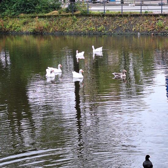 registerd user picture 3