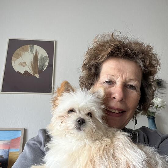 registerd user picture 2