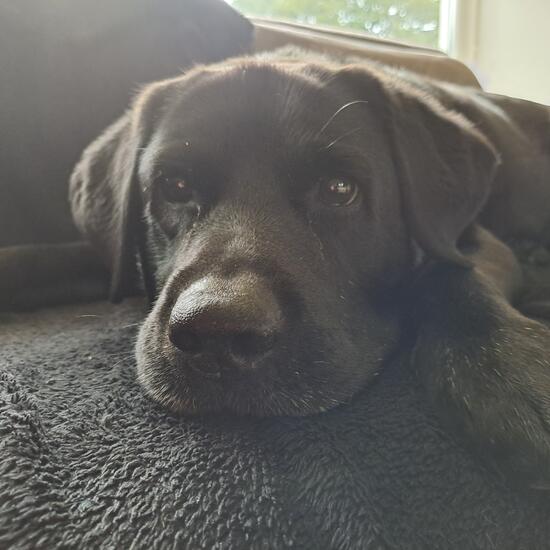 registerd user picture 3