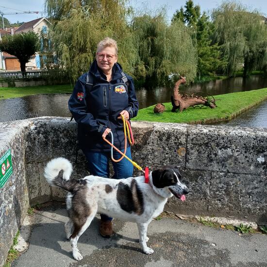 registerd user picture 3