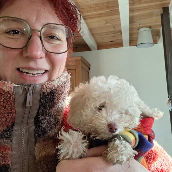 registerd user picture 2