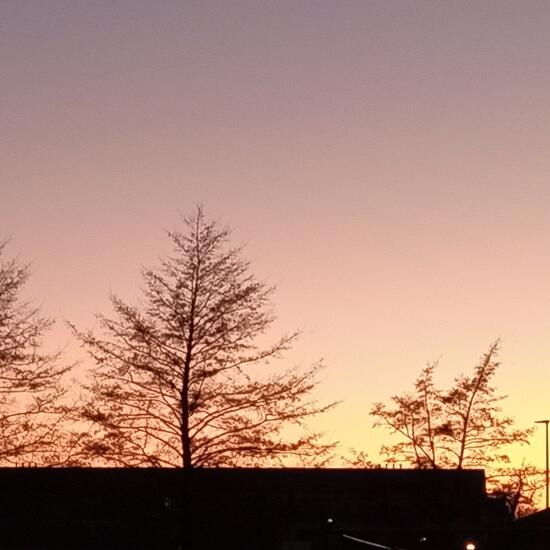 registerd user picture 2