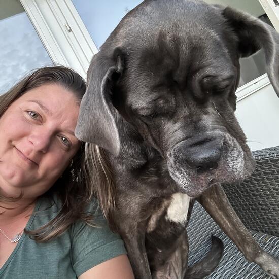 registerd user picture 3