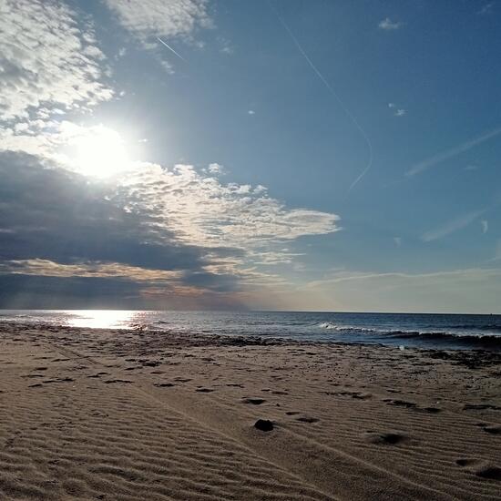 registerd user picture 1