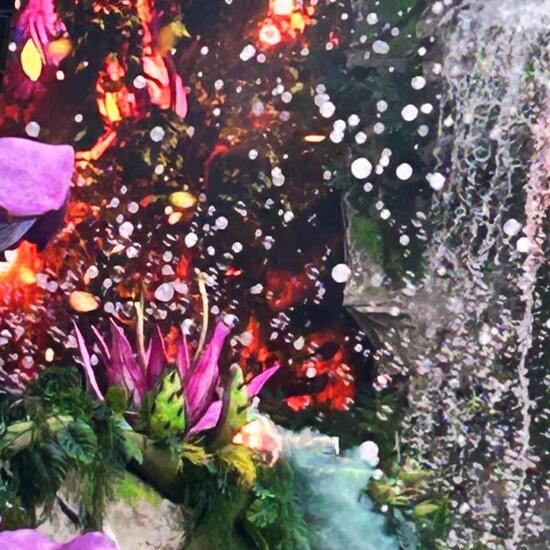 registerd user picture 1