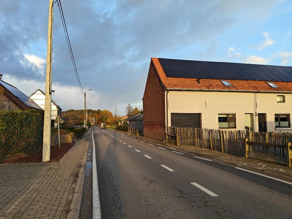 Heraanleg Zoellaan - RingRaad