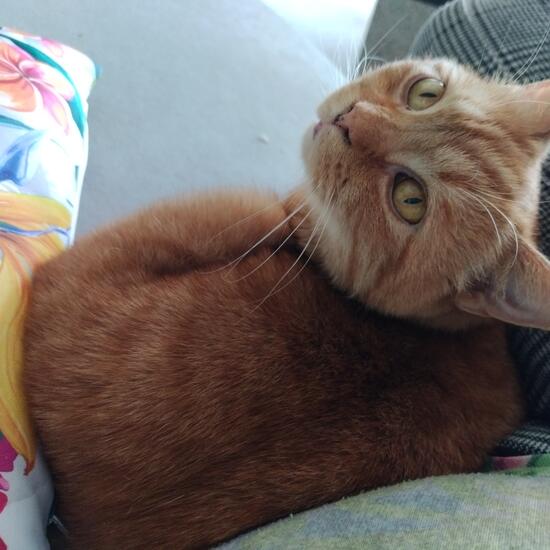 registerd user picture 1