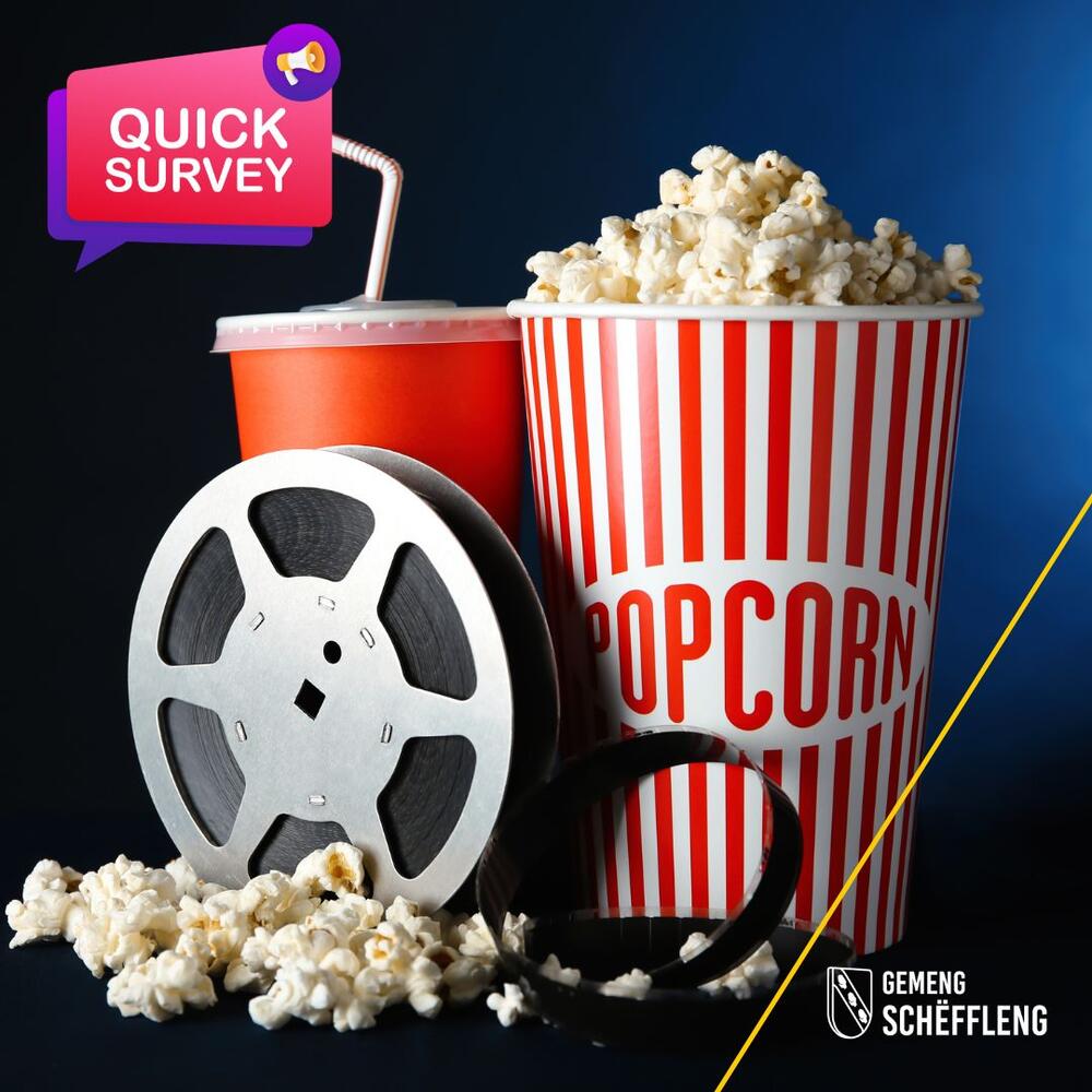 Survey - Open Air Kino