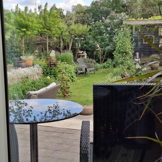 registerd user picture 2