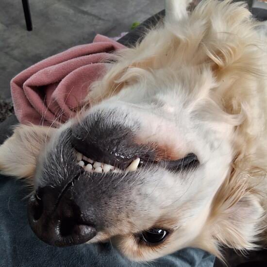 registerd user picture 1