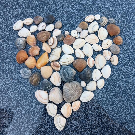 registerd user picture 2