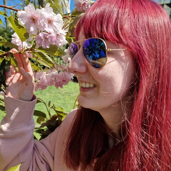 registerd user picture 1