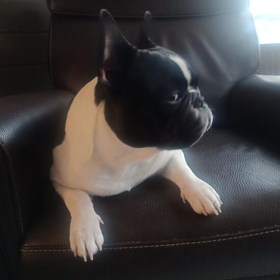 registerd user picture 2