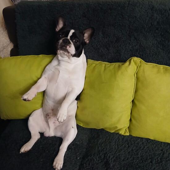 registerd user picture 3